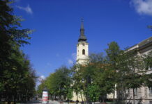 APATİN – İZMİR   2