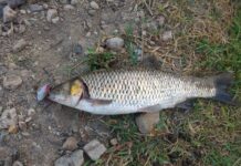 DEMİRCİLİK FOTOĞRAFLARI-2