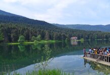 GİT, GEZ, GÖR-2 (BOLU)