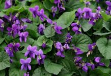 BÜTÜN ANNELERİN GÜNÜ KUTLU OLSUN