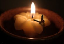 DÜNYA ÇETREFİLDİR, YAŞAM ALENGİRLİ