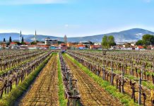 HACIRAHMANLI’DA ESKİ BİR SABAH