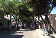 NİSAN RÜYASI-(İki Buçuk)