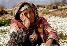 ANNELER GÜNÜNÜZ KUTLU OLSUN