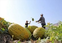 UZAKTA ÖYLE BİR KÖY YOK