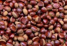 VARMIŞ VEYA YOKMUŞ